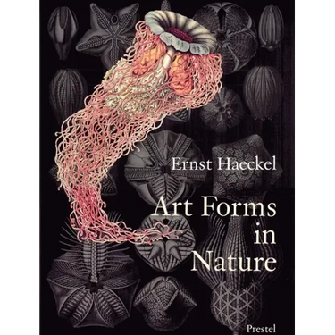 Art Forms in Nature: The Prints of Ernst Haeckel