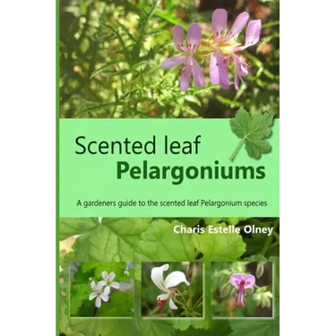 Scented leaf pelargoniums: A gardeners guide to the scented leaf pelargonium species