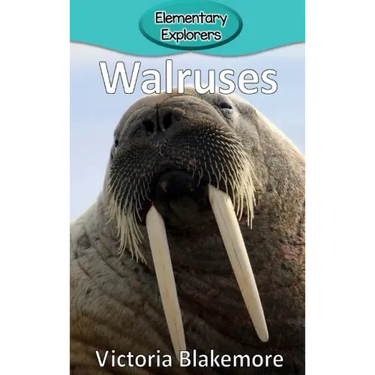 Walruses