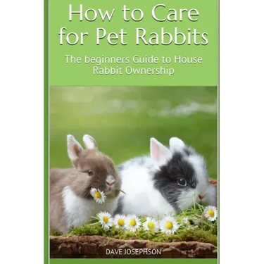 How to Care for Pet Rabbits: The beginners Guide to House Rabbit Ownership