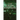 The Green Panthers