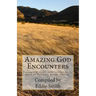 Amazing God Encounters: Amazing Stories of God's Intervention
