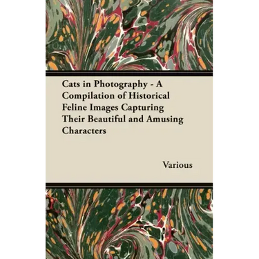 Cats in Photography - A Compilation of Historical Feline Images Capturing Their Beautiful and Amusing Characters