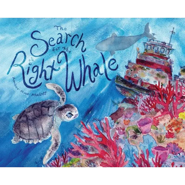 The Search for the Right Whale