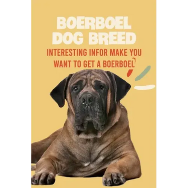 Boerboel Dog Breed: Interesting Infor Make You Want to Get a Boerboel: Boerboel Dog Breed Characteristics, Appearance, History