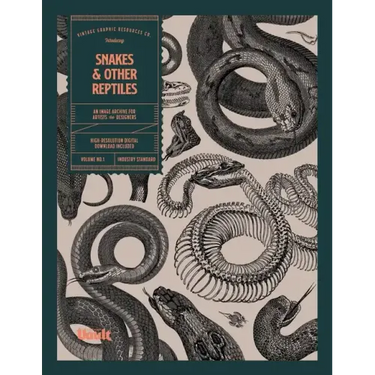 Snakes and Other Reptiles