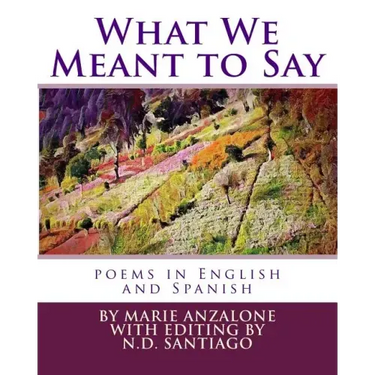 What We Meant to Say: poems in English and Spanish