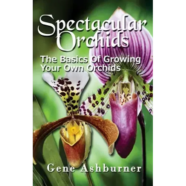 Spectacular Orchids: The Basics Of Growing Your Own Orchids