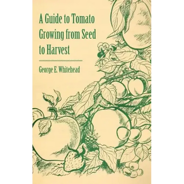 A Guide to Tomato Growing from Seed to Harvest