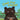 Bear Has Hiccups