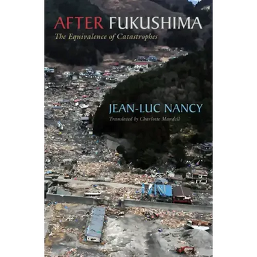 After Fukushima: The Equivalence of Catastrophes