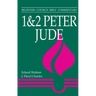 1 & 2 Peter, Jude: Believers Church Bible Commentary