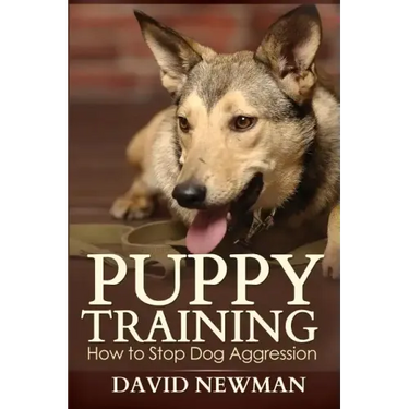 Puppy Training: How to Stop Dog Aggression
