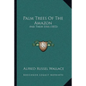 Palm Trees Of The Amazon: And Their Uses (1853)