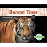Bengal Tiger