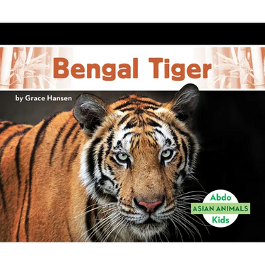 Bengal Tiger