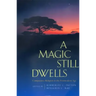 A Magic Still Dwells: Comparative Religion in the Postmodern Age