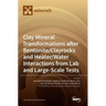 Clay Mineral Transformations after Bentonite/Clayrocks and Heater/Water Interactions from Lab and Large-Scale Tests