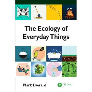 The Ecology of Everyday Things
