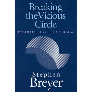 Breaking the Vicious Circle: Toward Effective Risk Regulation
