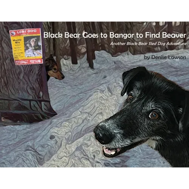 Black Bear Goes to Bangor to Find Beaver: Another Black Bear Sled Dog Adventure