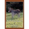 An Extravagance of Donkeys