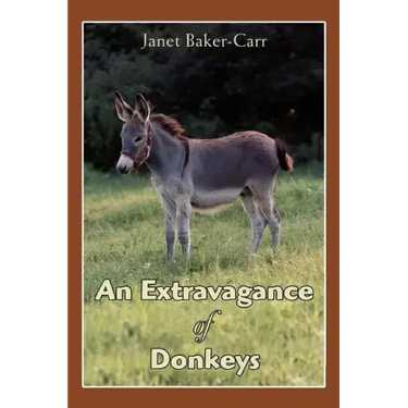 An Extravagance of Donkeys