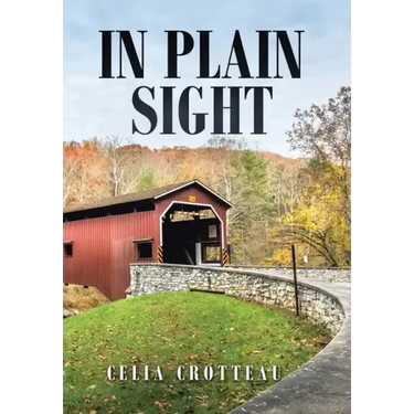In Plain Sight