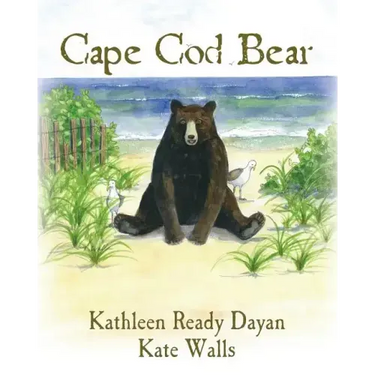 Cape Cod Bear