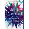 A Spark of Light