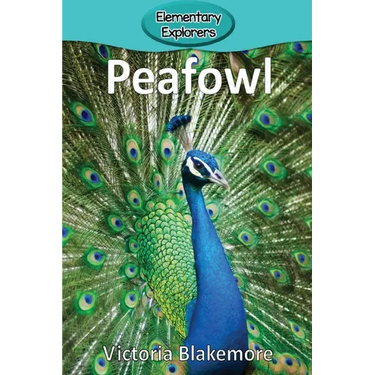 Peafowl
