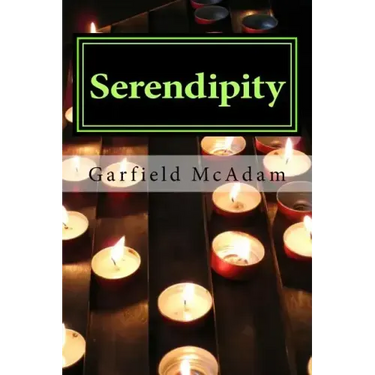 Serindipity: Wishes Come True: Vol 3