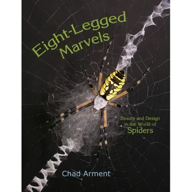 Eight-Legged Marvels: Beauty and Design in the World of Spiders