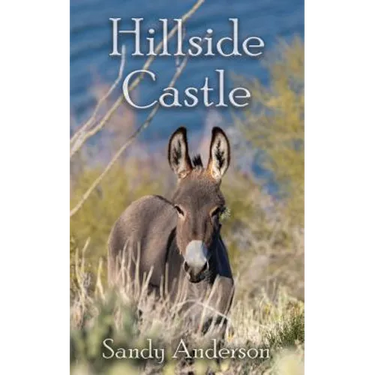 Hillside Castle