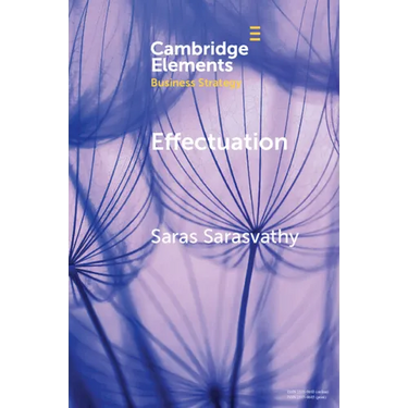 Effectuation