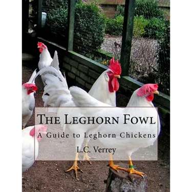 The Leghorn Fowl: A Guide to Leghorn Chickens