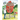 If Grandpas Grew Like Trees