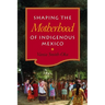 Shaping the Motherhood of Indigenous Mexico