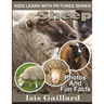 Sheep: Photos and Fun Facts for Kids