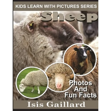 Sheep: Photos and Fun Facts for Kids
