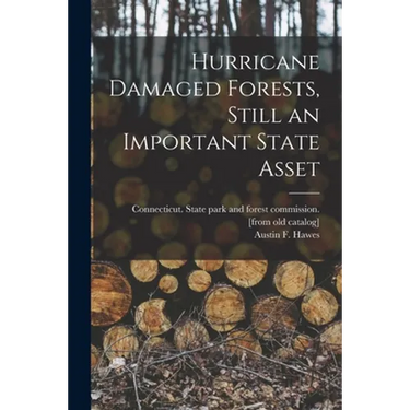 Hurricane Damaged Forests, Still an Important State Asset