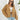 ce599a66ce7a413b95a81986db4024d3-Max