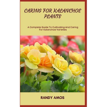 Caring for Kalanchoe Plants: A Complete Guide To Cultivating And Caring For Kalanchoe Varieties