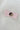 cf5a5ac3-b2b0-4694-a501-8941c9f3b3a0-Max