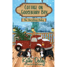 Cottage on Gooseberry Bay: The Christmas Baby