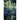 E M P