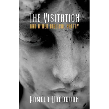 The Visitation and Other Biblical Poetry
