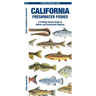 California Freshwater Fishes: A Folding Pocket Guide to Native and Introduced Species