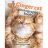 Ginger cat photography book: High quality ginger cat photo book
