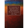 A Commentary or Exposition upon all the Books of the New Testament